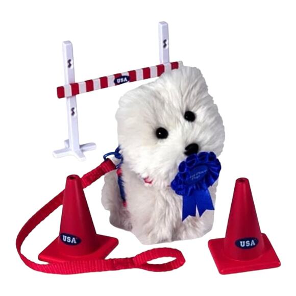 American Girl Today COCONUT AGILITY SET Dog Leash Collar Jump Cones Magnetic Toy - Picture 2 of 7